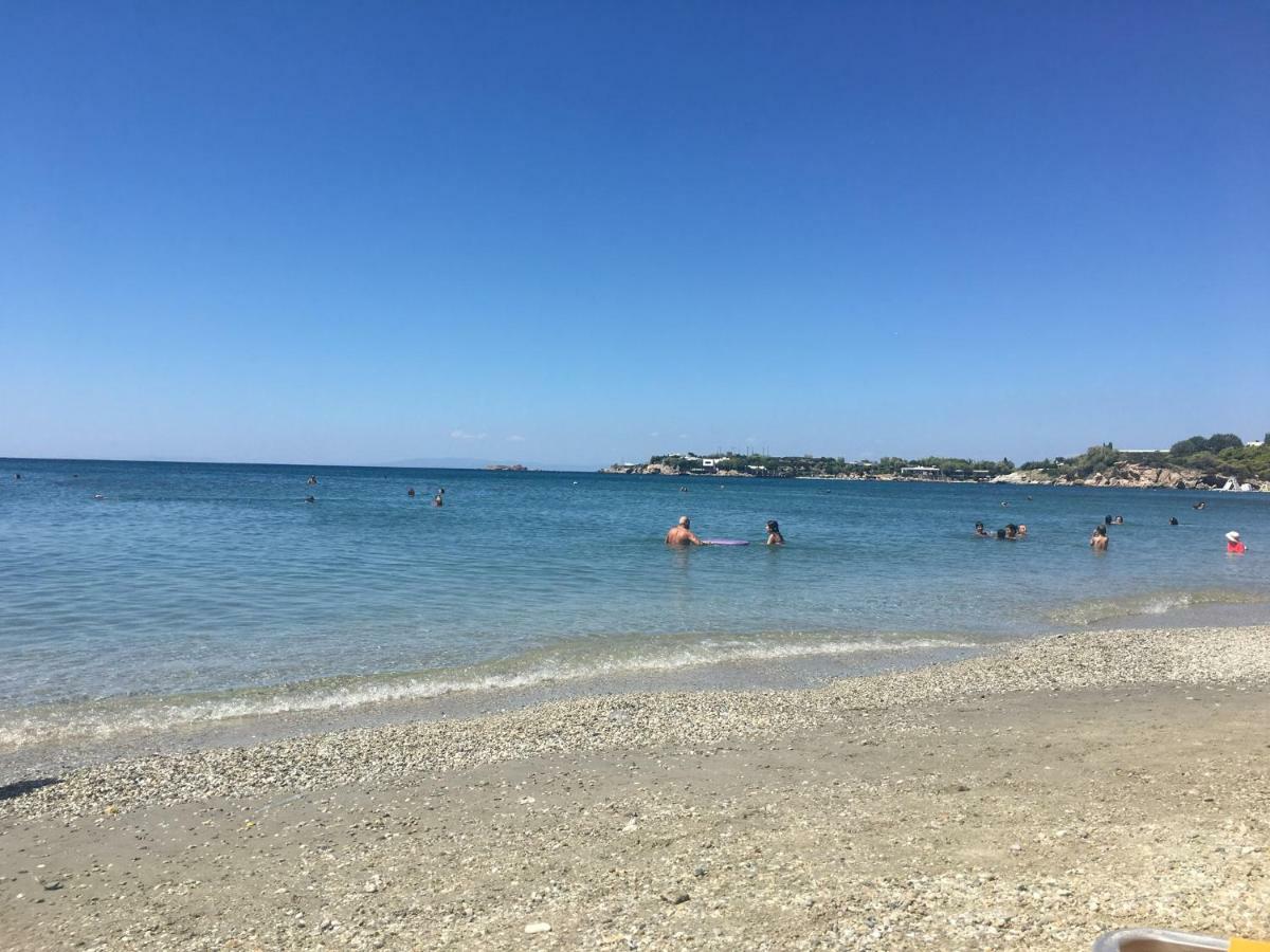 Villa Christina With Private Pool In Saronida, Near Stunning Beaches, Athens Airport & Sounio Exterior foto